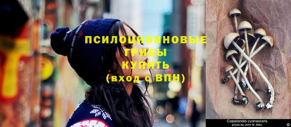 герыч Козельск