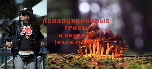 герыч Козельск