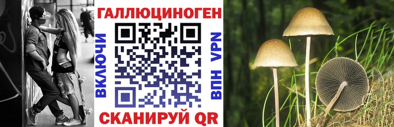 Галлюциногенные грибы Psilocybe  Купить  Кушва 